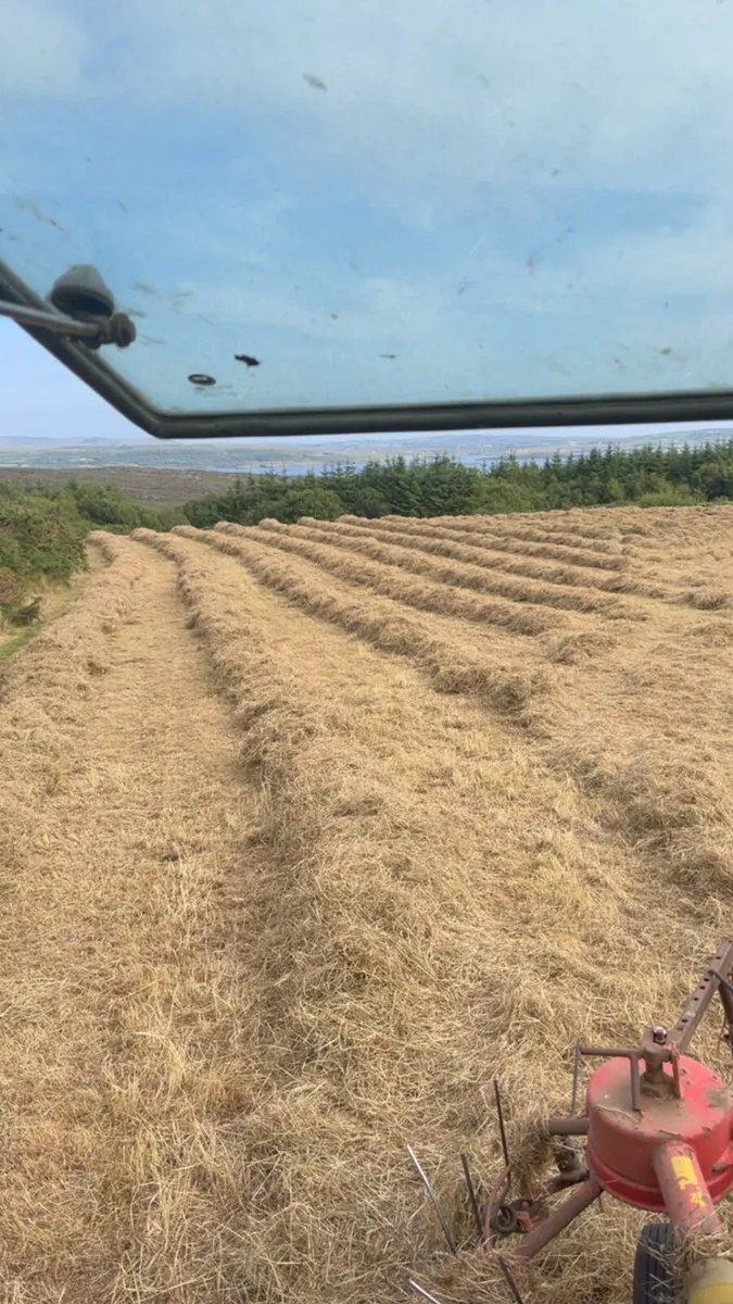 Hay for sale for upcoming season - Image 1