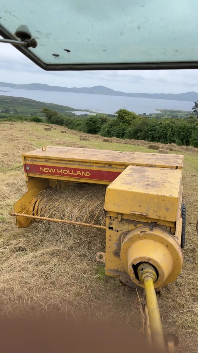 Hay for sale for upcoming season - Image 2