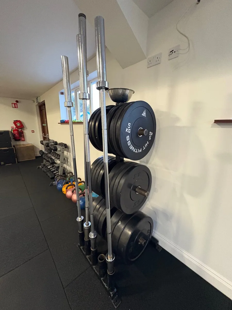 Gym floor / equipment - Image 2