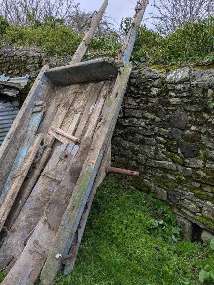 horse cart - Image 1