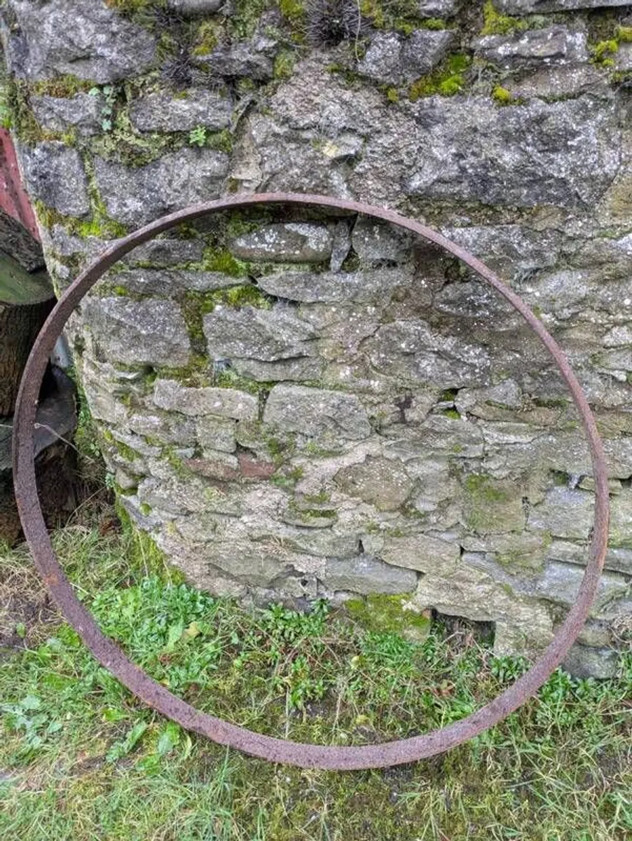 horse cart - Image 4