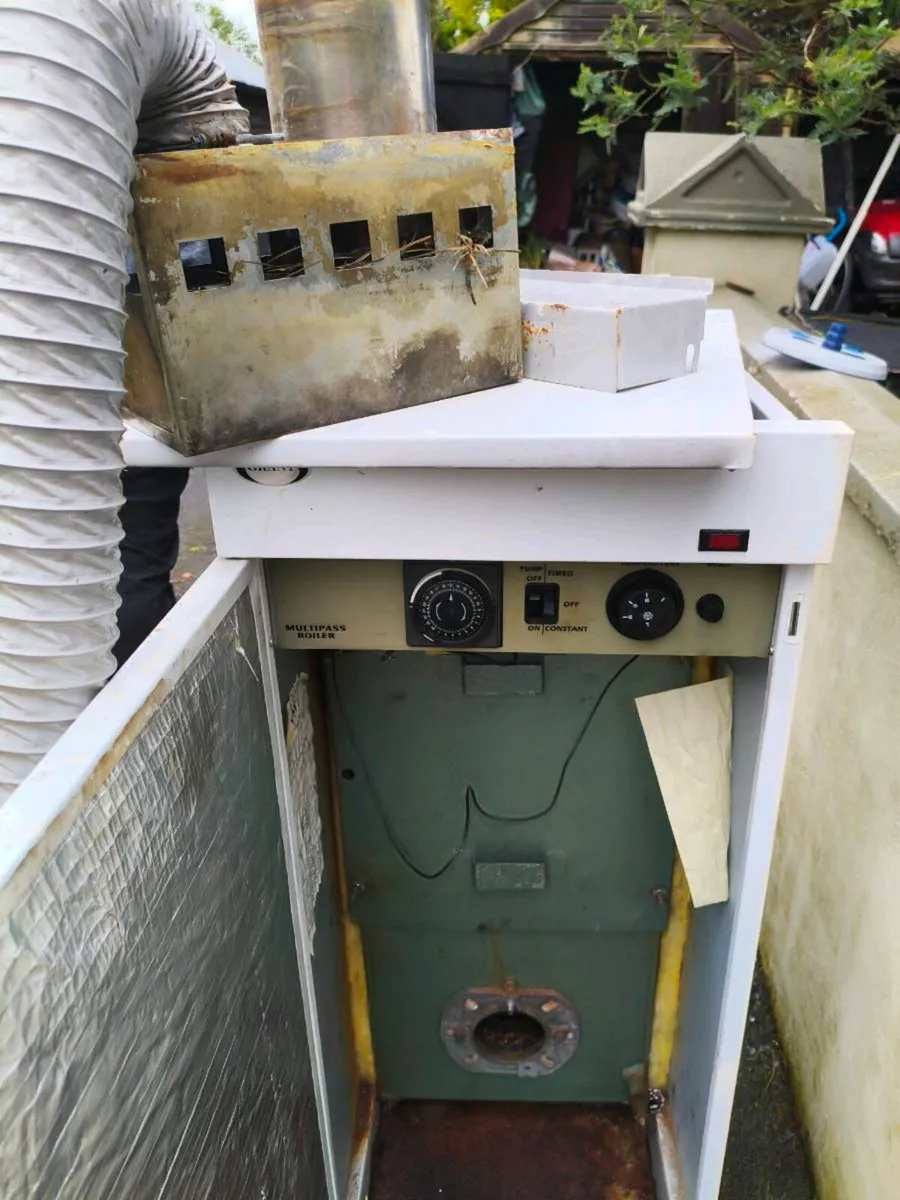Free boiler need Gon asap - Image 1