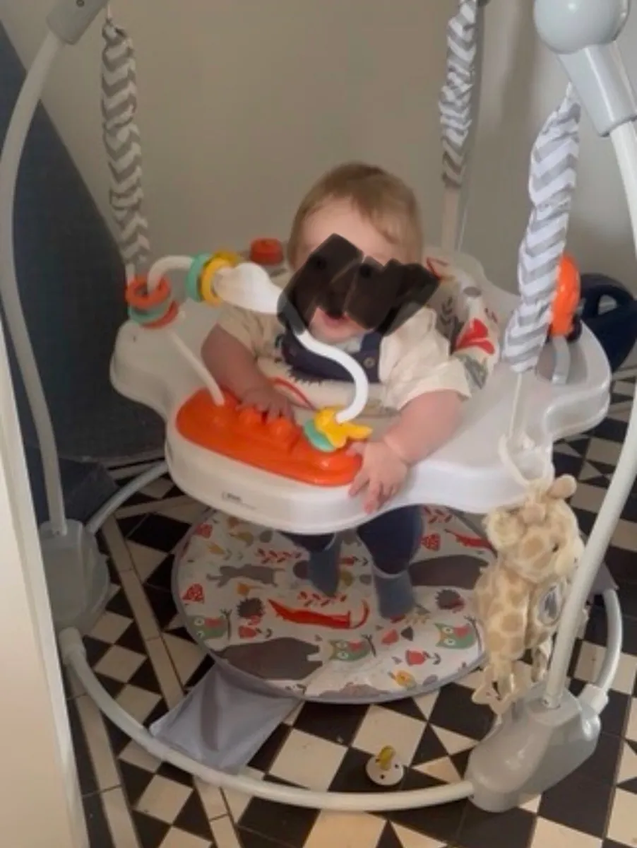 Baby bouncer jumperoo - Image 1