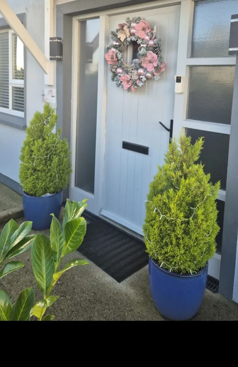 Ceramic Pot planters - Image 2