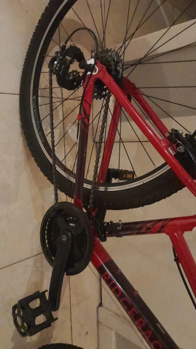 Bike size medium adult - Image 1