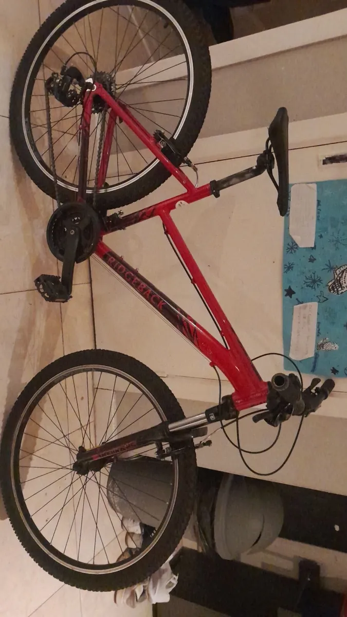 Bike size medium adult - Image 3
