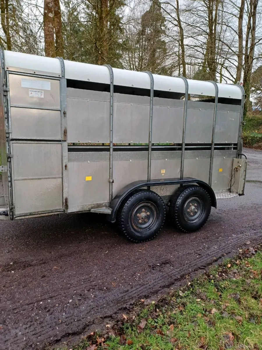 Hudson 12ft cattle... €3250 euros - Image 2