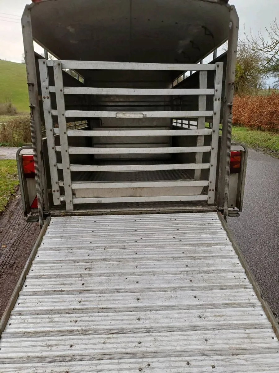 Hudson 12ft cattle... €3250 euros - Image 3