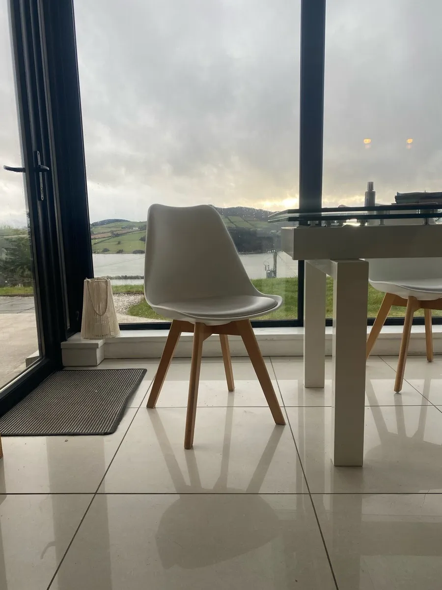 Dining chairs/ furniture - Image 1