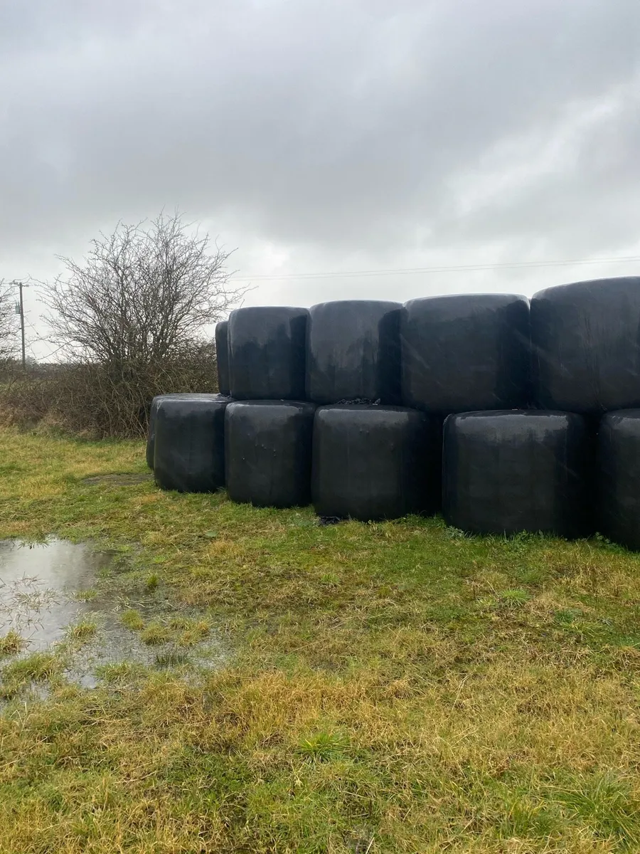 Silage Bales - Image 1