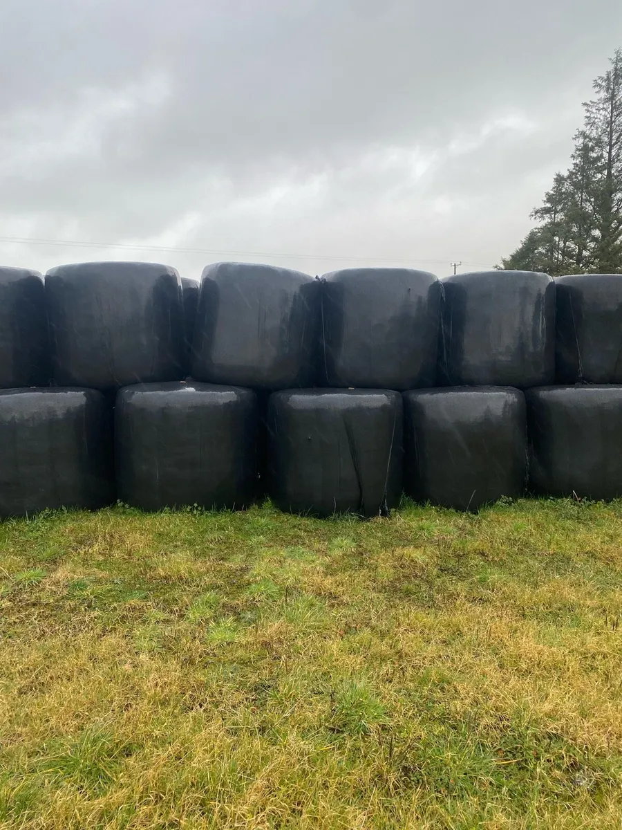 Silage Bales - Image 2