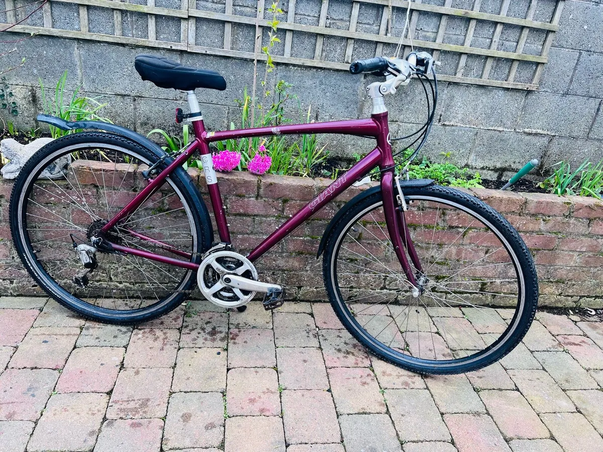 Giant Adult Road bike Great Condition Working 100% - Image 1