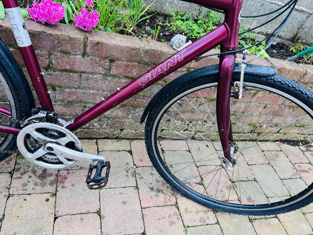 Giant Adult Road bike Great Condition Working 100% - Image 2