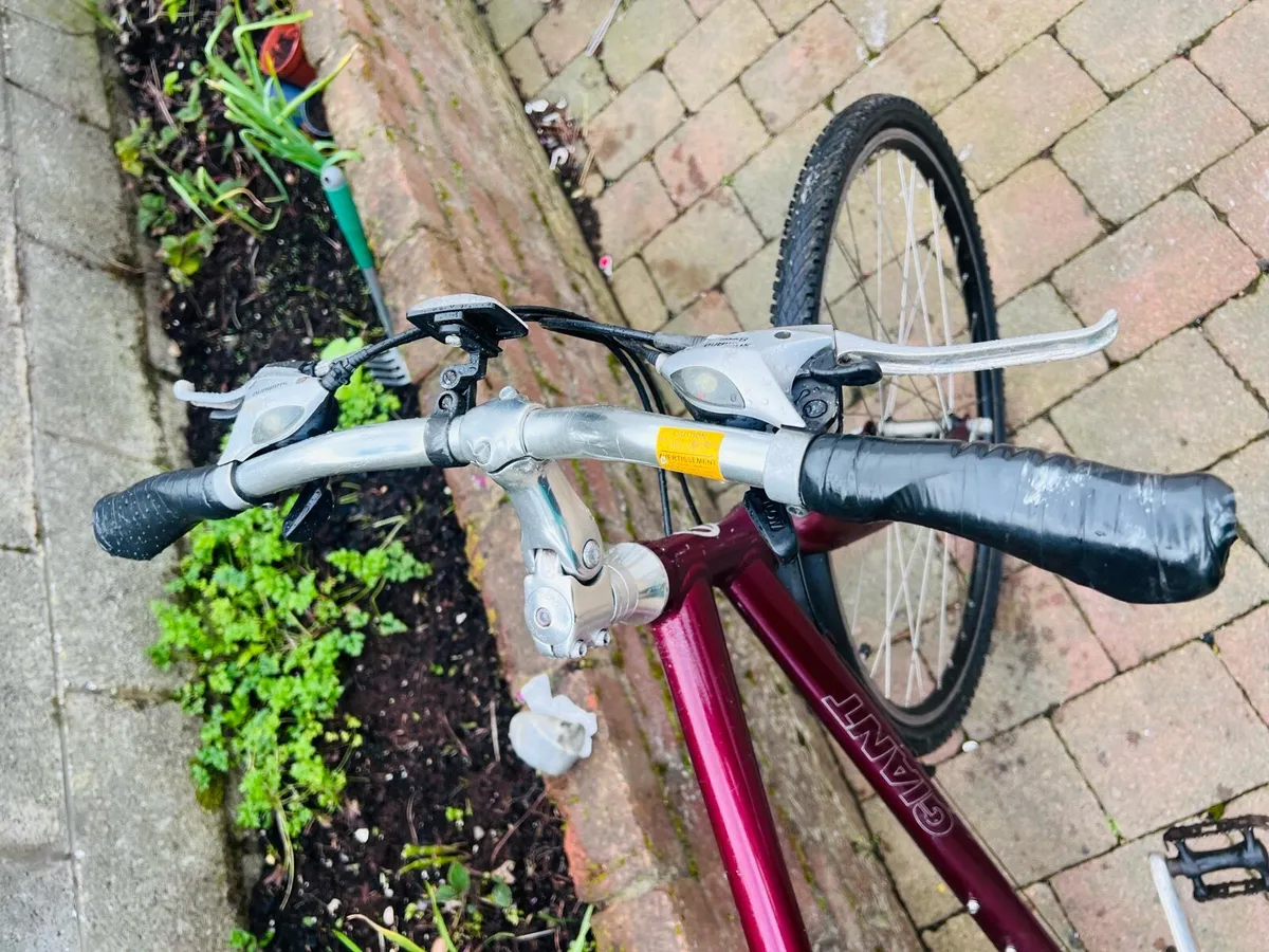 Giant Adult Road bike Great Condition Working 100% - Image 3