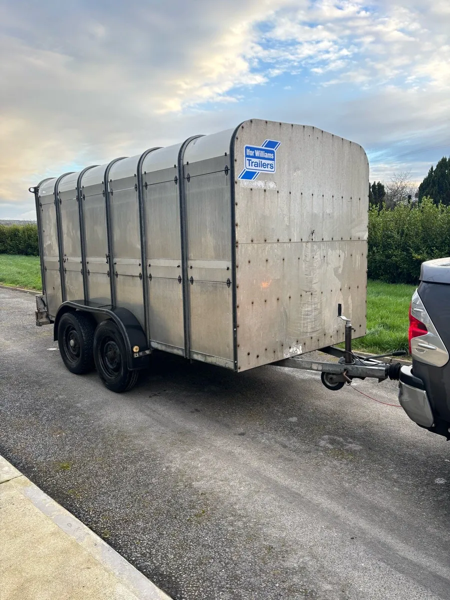 12x6 Ifor Williams cattle box - Image 1