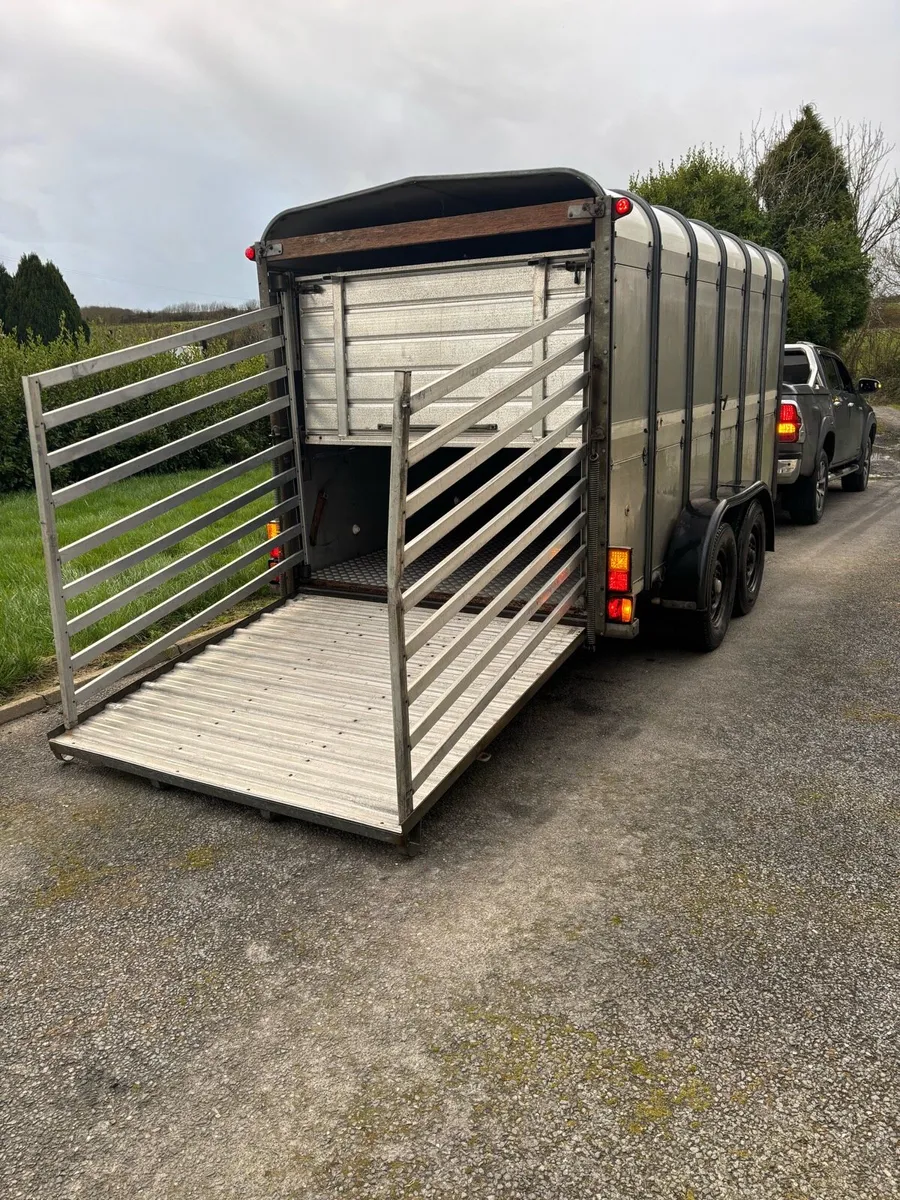 12x6 Ifor Williams cattle box - Image 2