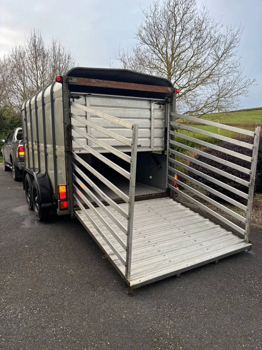 12x6 Ifor Williams cattle box - Image 3