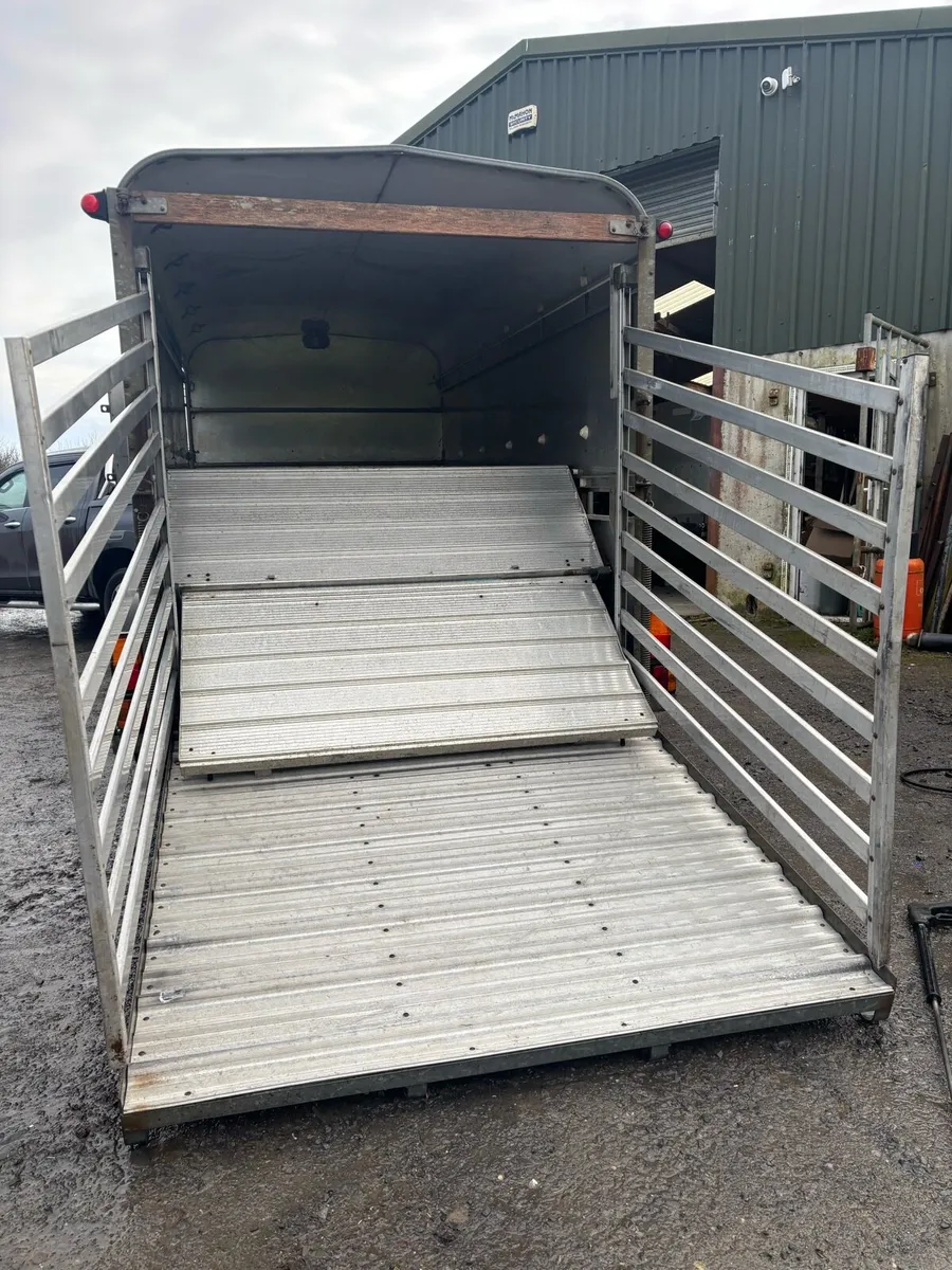 12x6 Ifor Williams cattle box - Image 4