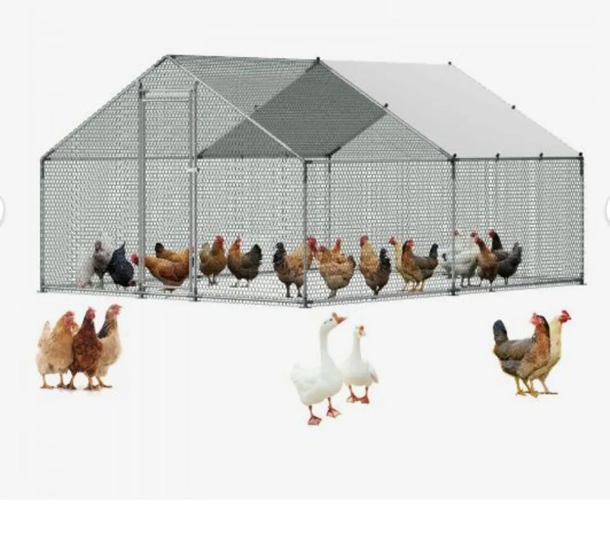 Metal Chicken Coop, 9.8x13.1x6.5 ft Large - Image 3