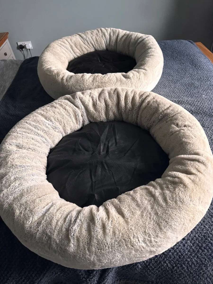 Dog beds, bowls, collar and lead - Image 1