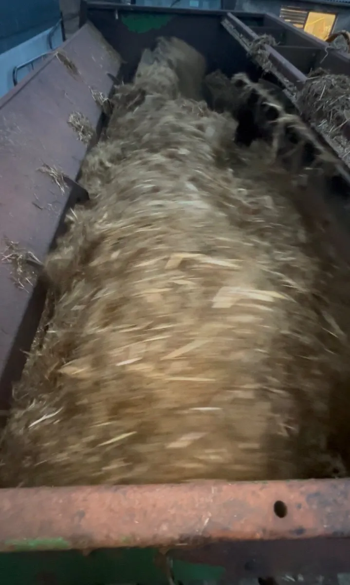 Diet feeder - Image 2