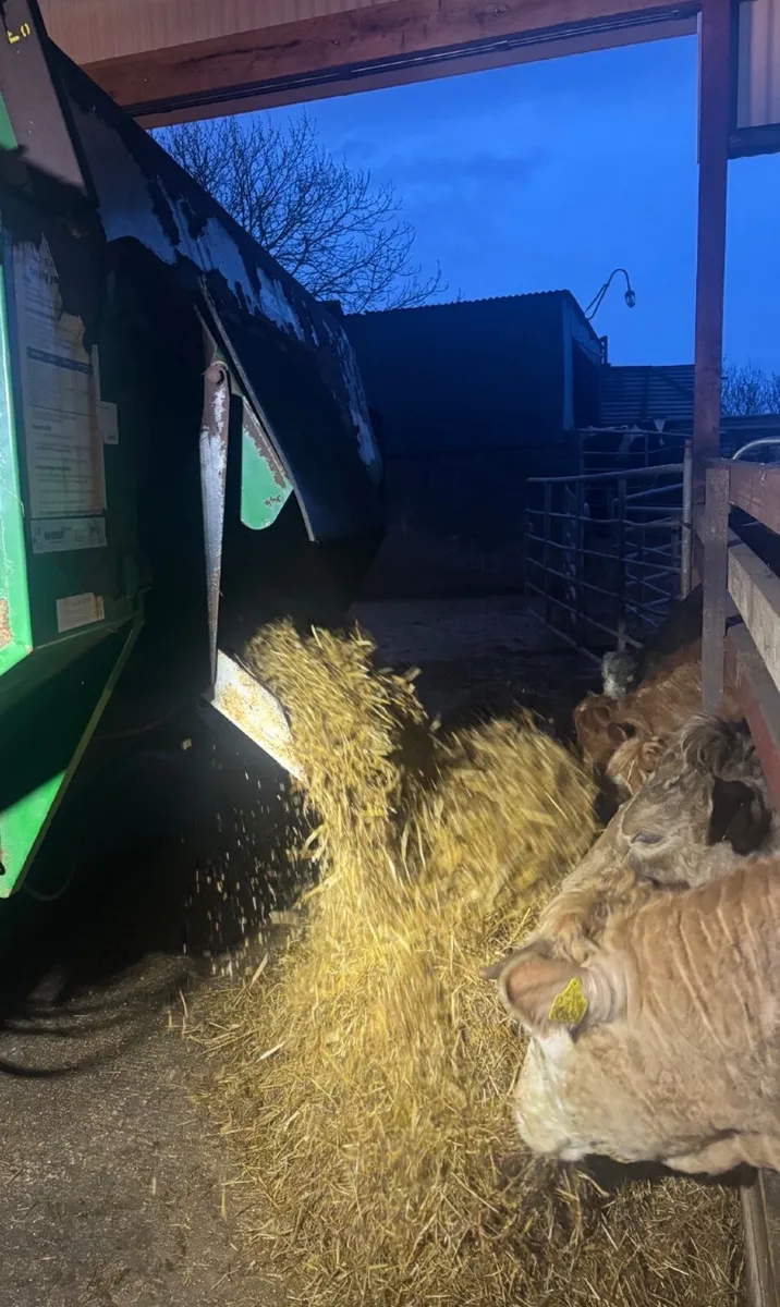 Diet feeder - Image 4