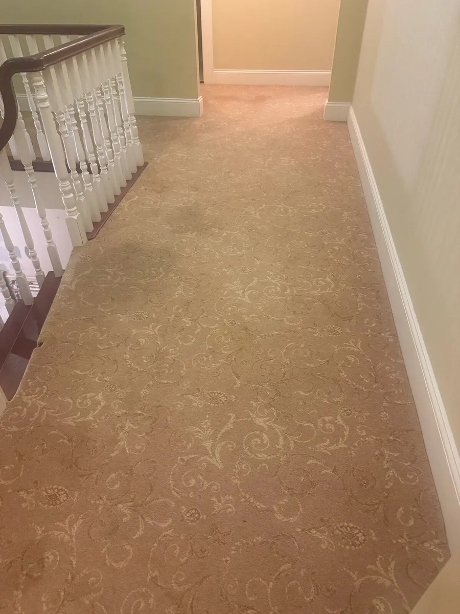 Brintons Versailles Landing Carpet For Sale - Image 2