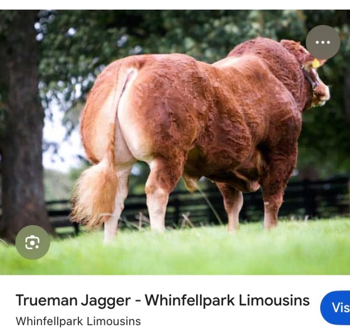 Selection AI straws - Image 3