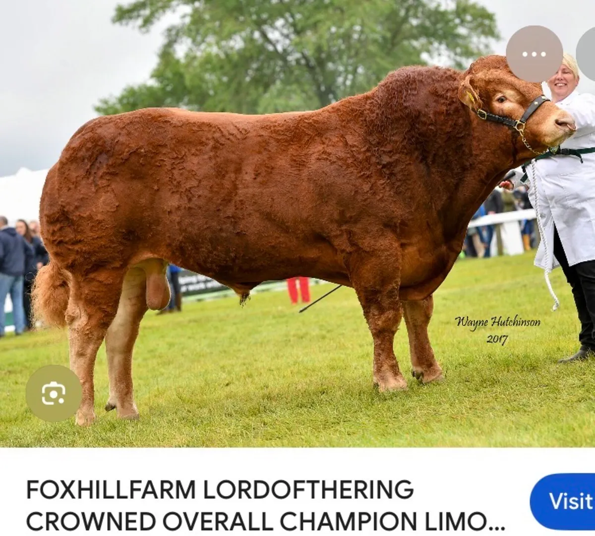 Selection AI straws - Image 4