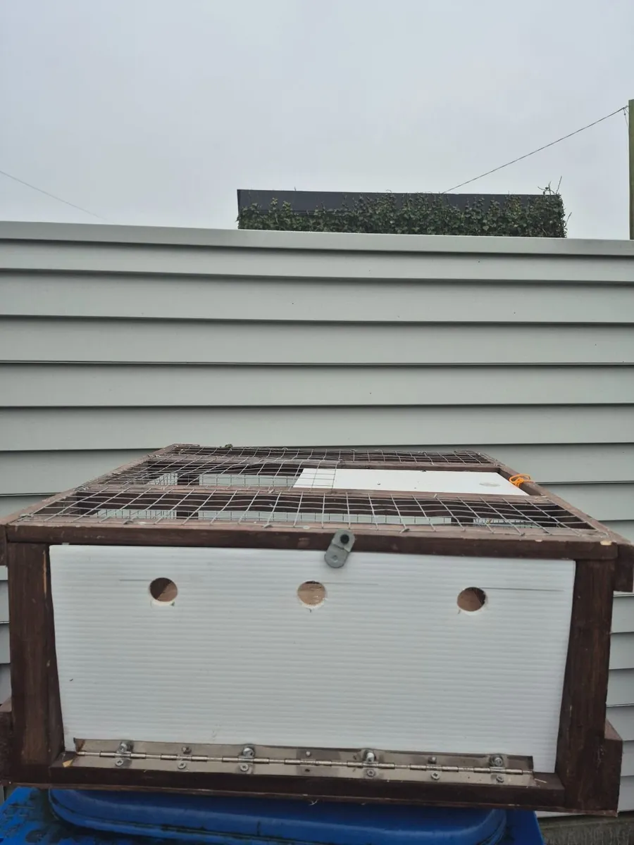 Pigeon transport crate.