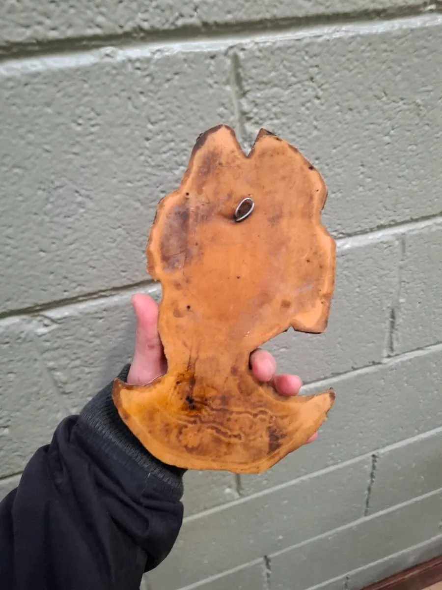 Brittany resine ornament - Image 2