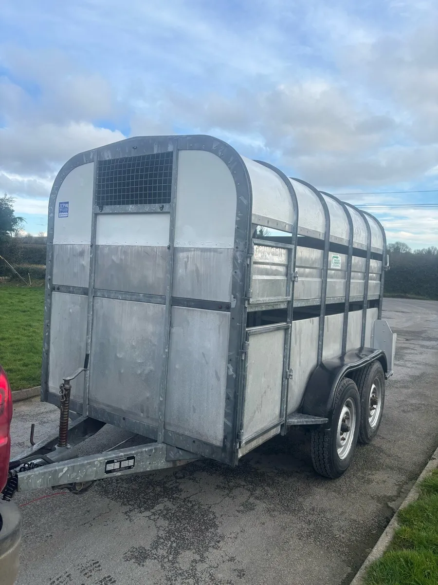 Nugent cattle trailer - Image 1