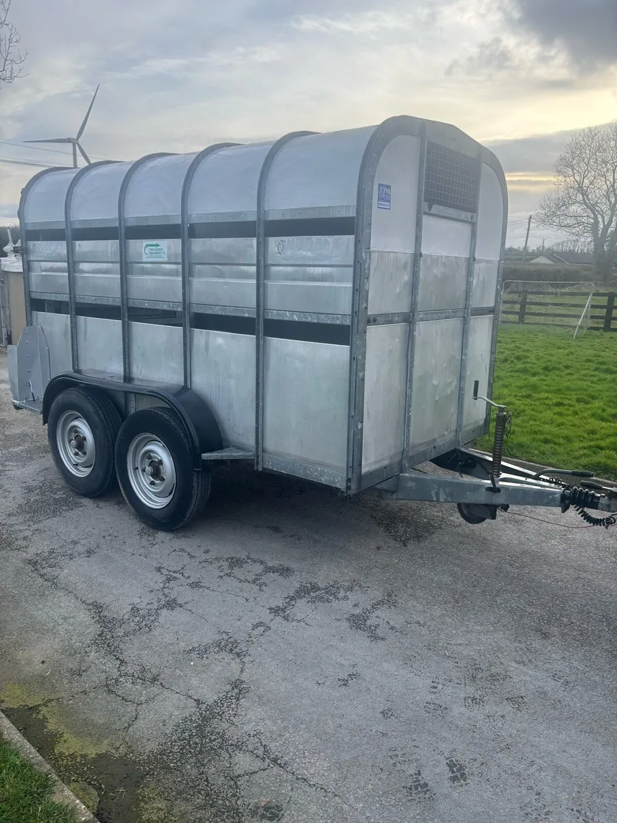 Nugent cattle trailer - Image 2