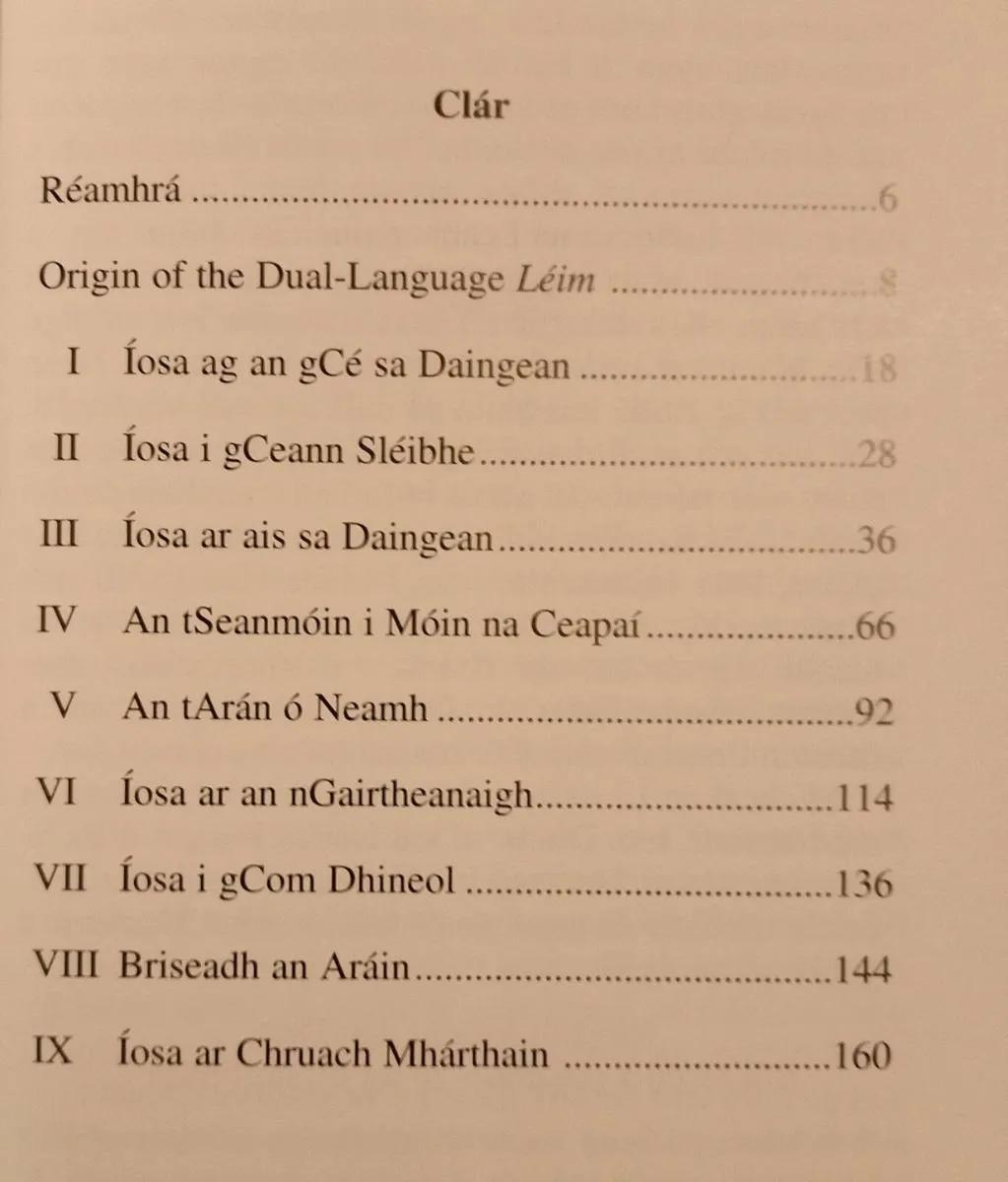 Jesus in Dingle 1995 Irish Book - Image 2