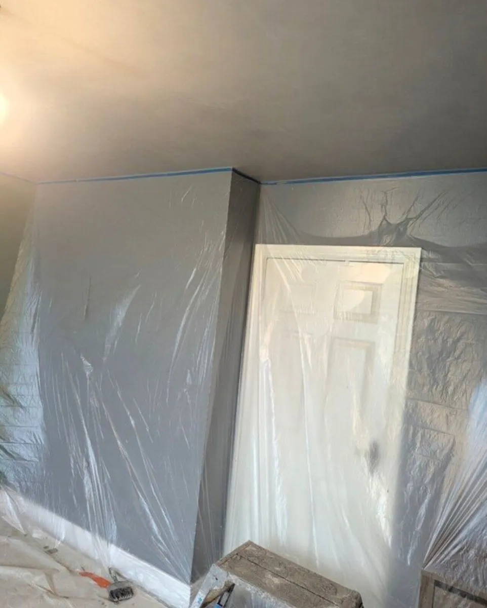 Plasterer Available - Image 3