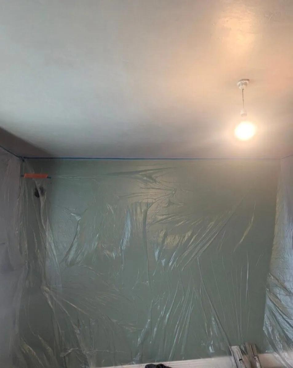 Plasterer Available - Image 4