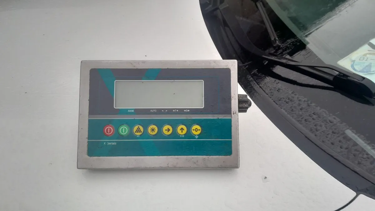 Cattle weighing  scale - Image 2