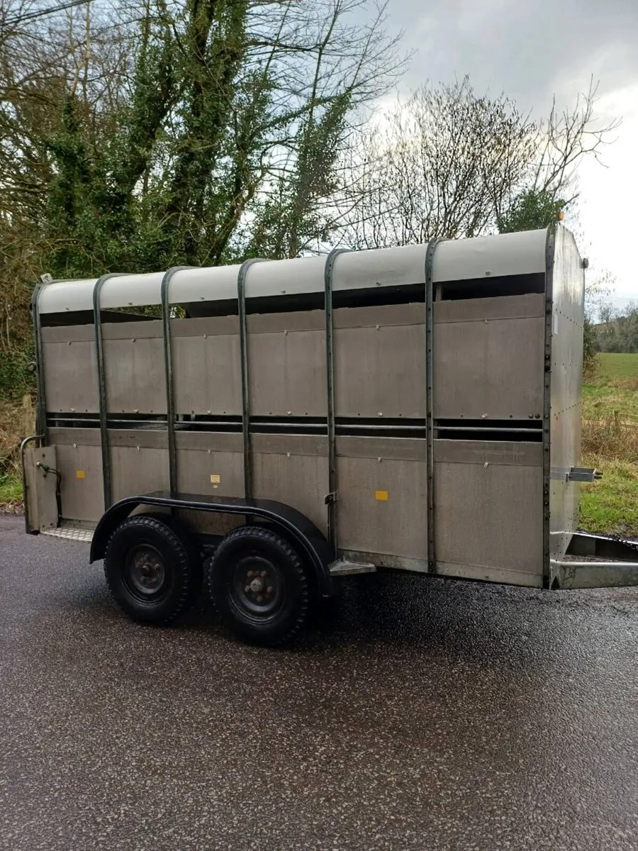 Hudson 12ft cattle... €3250 euros - Image 1