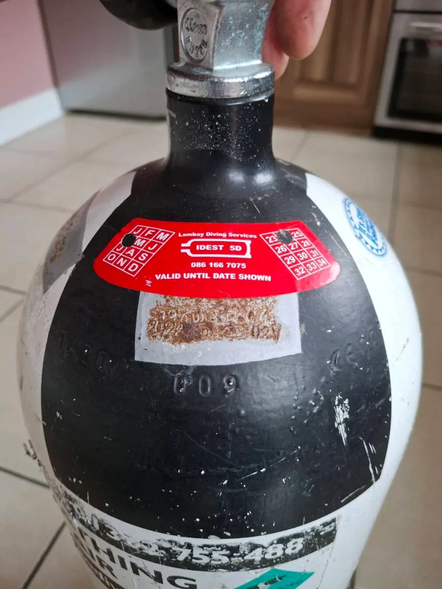 15 and 12 litre Dive Cylinders - Image 4