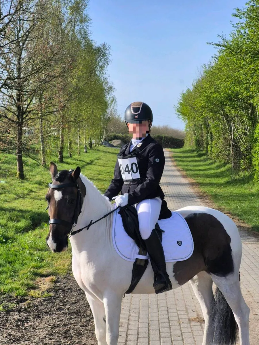 12hh All-rounder Pony - Image 3