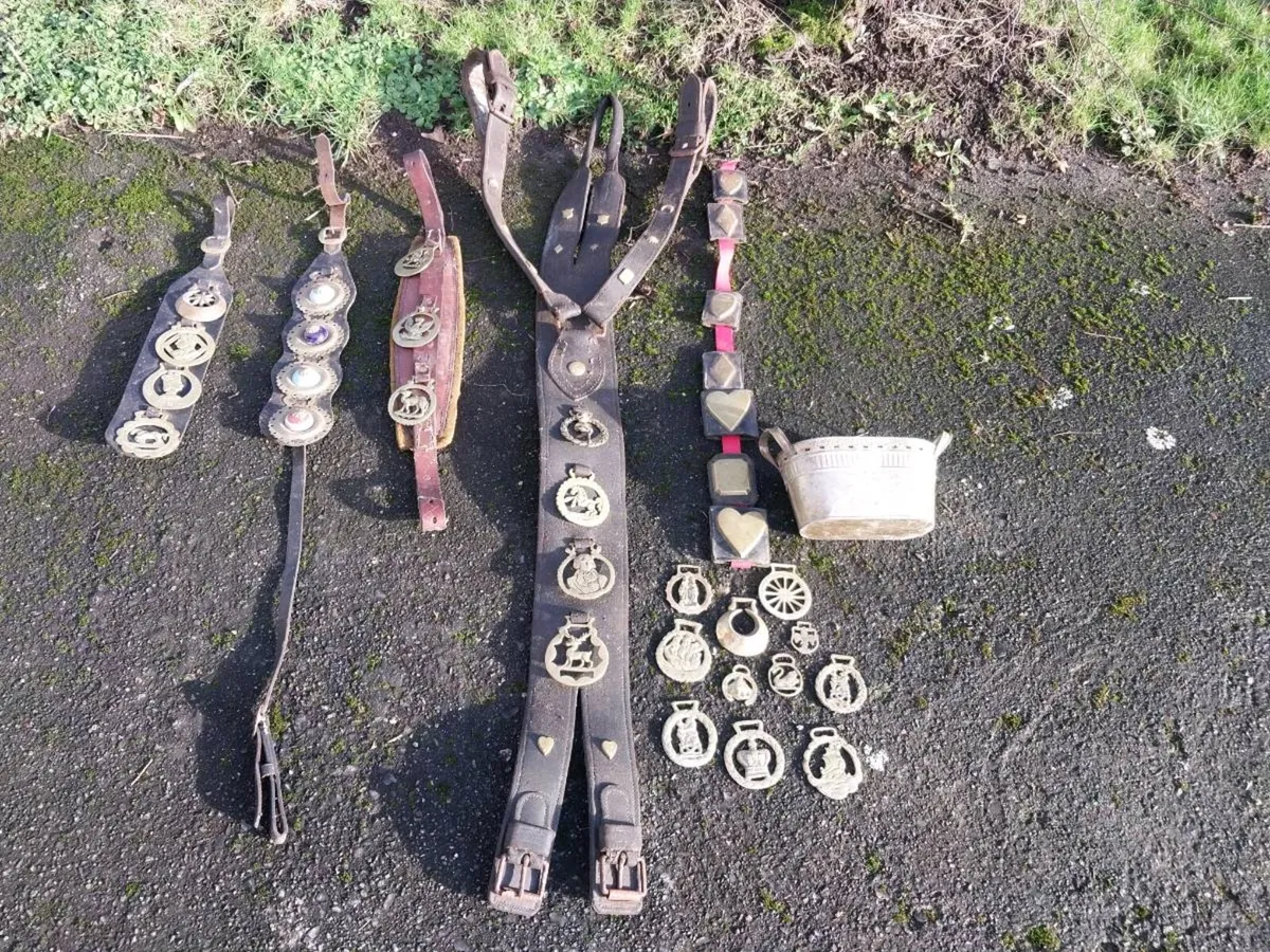 Horse Brasses Mix - Image 1