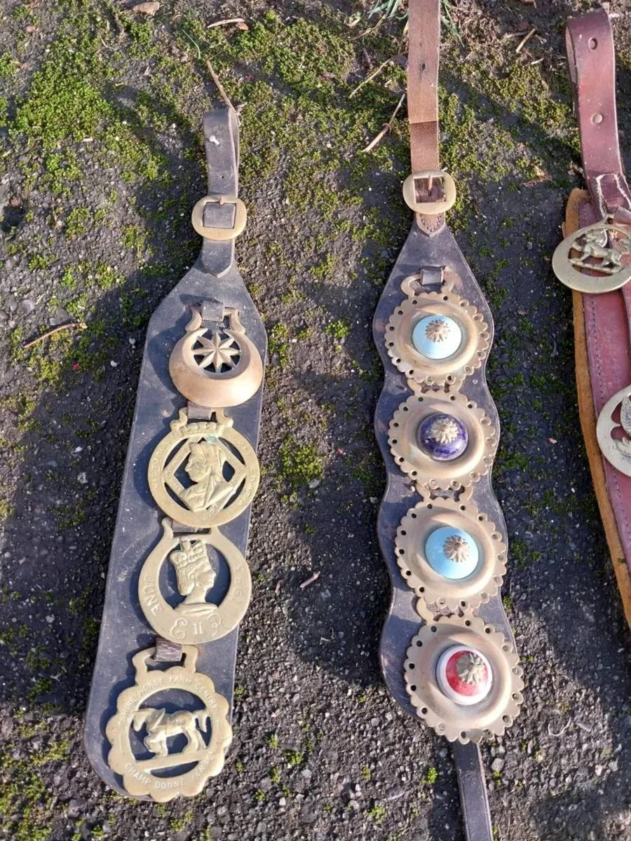 Horse Brasses Mix - Image 2
