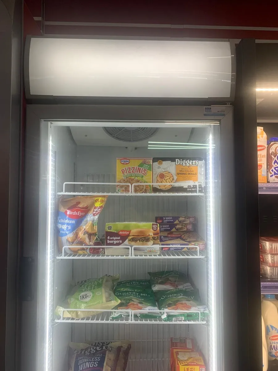 Stand up Freezer - Image 3