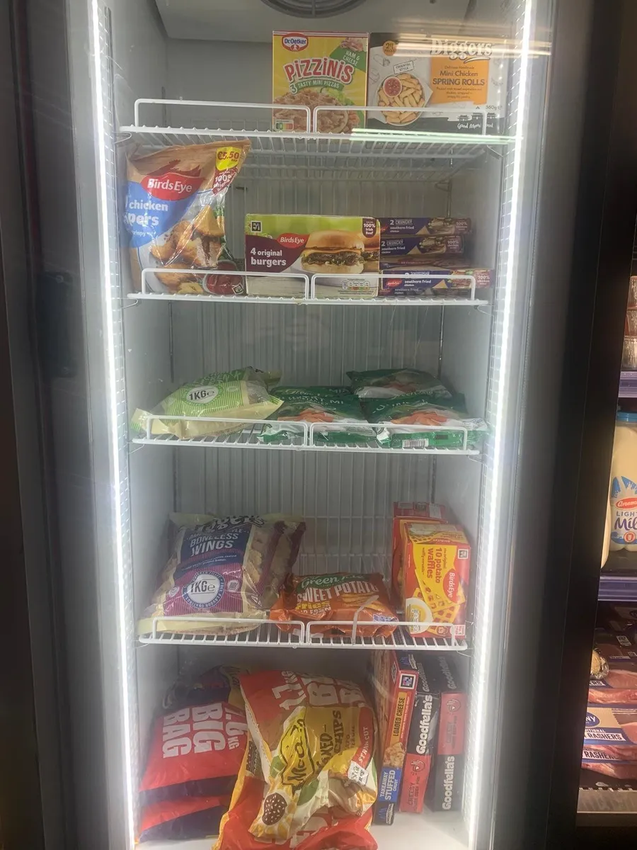 Stand up Freezer - Image 1