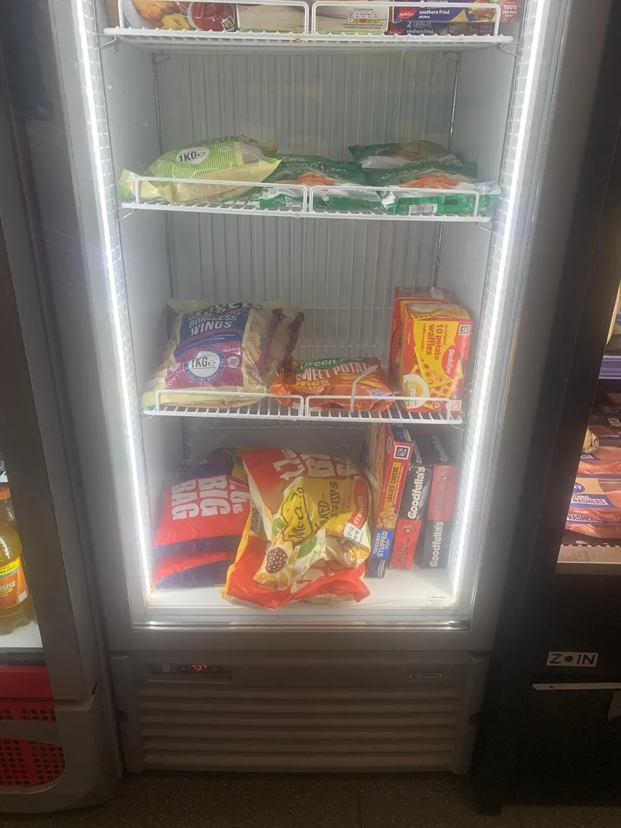 Stand up Freezer - Image 2