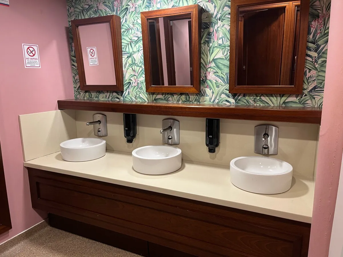 Bathroom sinks - Image 1