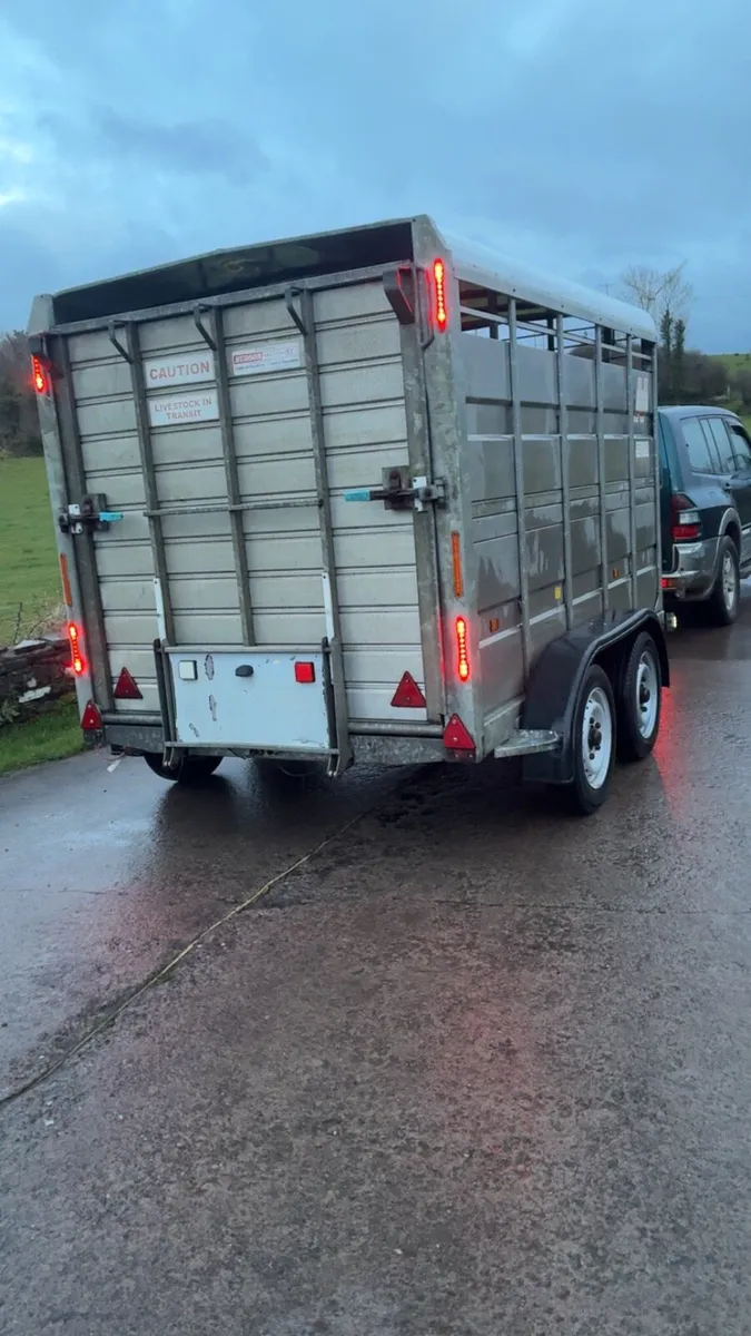 Hudson Cattle / Sheep Trailer - Image 3