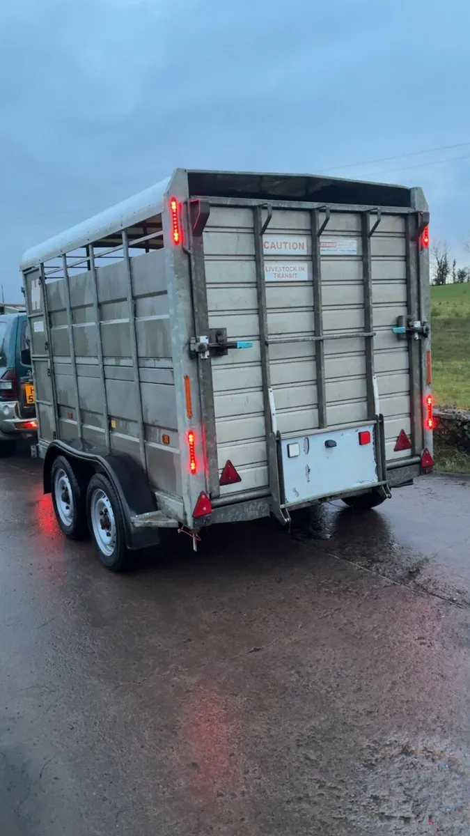 Hudson Cattle / Sheep Trailer - Image 4