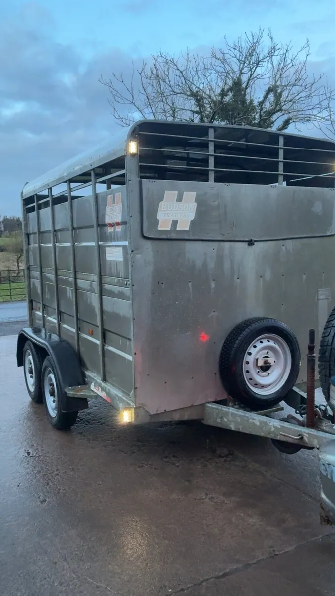 Hudson Cattle / Sheep Trailer - Image 2