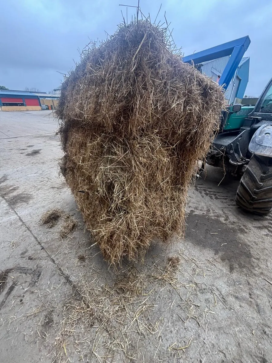 Hay 7x3x2 - Image 1